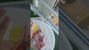 Дом для божьей коровки своими руками