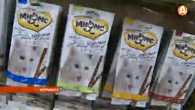 5 декабря в Мурманске откроется ещё один зоомаркет 03.12.2015 смотреть онлайн