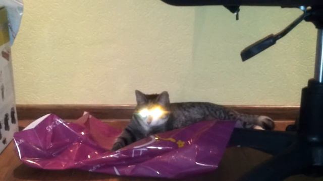 светящиеся глаза смотреть онлайн