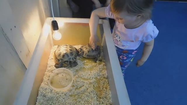 Большие качели! Пираньи!Кормим пираний!Отдыхаем в парке! смотреть онлайн