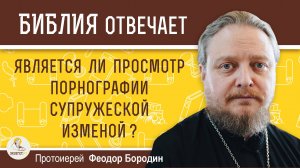 Является ли просмотр порнографии супружеской изменой ?  Протоиерей Феодор Бородин