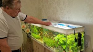 #03 Водоросли и профилактика заболеваний. Аквариумистика с Геннадием Посейдонычем