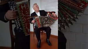 Игра на гармони. Гармонь любительская. Гармонист Василий.