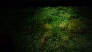 Imalent MS32 200000 Lumen - Die hellste Taschenlampe der Welt - Ein wahres Monster