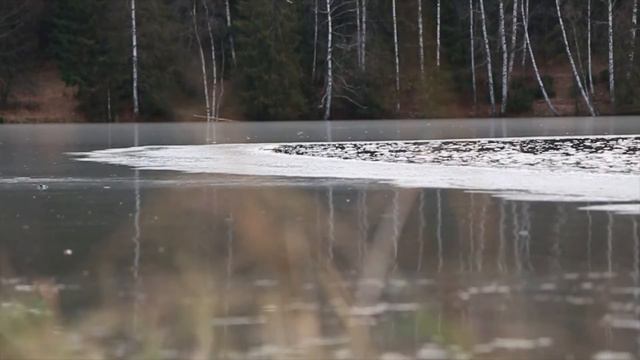 Шаг 30: ледяной влог | Сергиев Посад смотреть онлайн