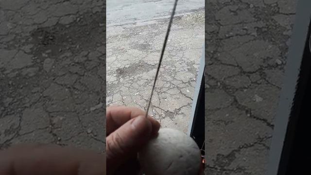 Снасть для ловли сома