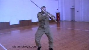 Работа с палкой. Часть 1. Пластунский рукопашный бой. Система боя - Леонид Полежаев