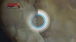 Нас не обманешь! Выпуск 6  Русские булки с Игорем Прокопенко