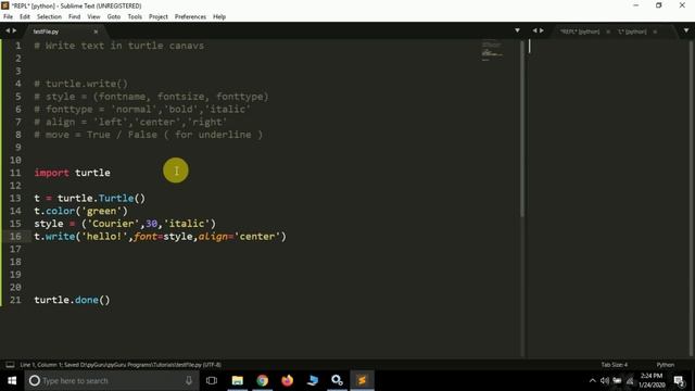 pyTurtle 10 | Adding text in turtle canvas | Python | #pyGuru смотреть онлайн