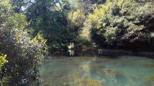 Лягушачий хор#слова народные музыка народная#