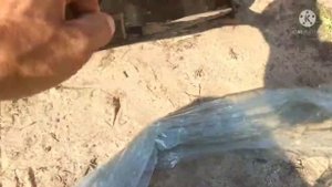 Обзор покупного плуга и прицепного устройства к мотоблоку.