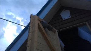 Покусали осы, теперь хромаю