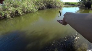 ЭКСПЕРИМЕНТЫ С УЛЬТРОЛАЙТОМ в ВОЛГОАХТУБИНСКОЙ пойме