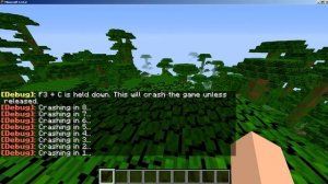 ЧТО БУДЕТ ЕСЛИ ЗАЖАТЬ F3+C В MINECRAFT???
