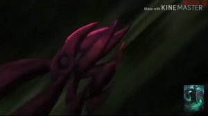 Песня Джузо Сузуя