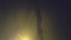 Подводная охота на реке с течением в условиях плохого прозрака. Тактика охоты в завалах