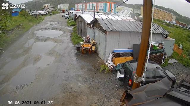 Хибины.com: медведь в Териберке