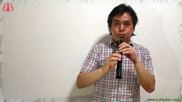 Massachusetts-8-Hole LittleSax/Pocket sax/Xaphoon/Mini Sax/Mini Saxophone/Pocket/Saxophone/Saxophon