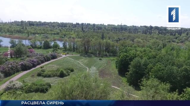 Цветущий ботанический сад смотреть онлайн