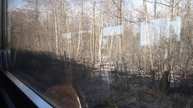 #СашаКира. Едем в Сестрорецк. Едем в электричке. Виды из окна.Ч2