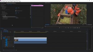 Базовые эффекты Adobe Premiere Pro. Непрозрачность