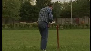 Шнауцер (Цвергшнауцер, Миттельшнауцер, Ризеншнауцер)