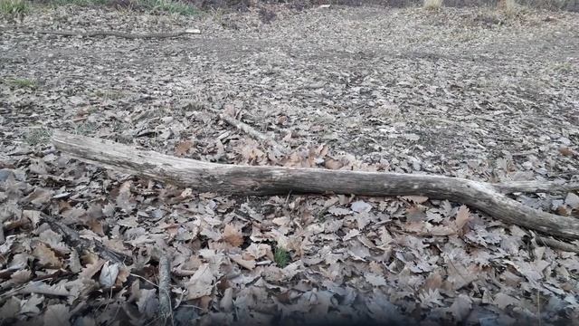 мотовездеход сибирь 2×2 глазами владельца смотреть онлайн