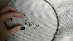 8. Старт новой вышивки от Риолис "Пряные травы"