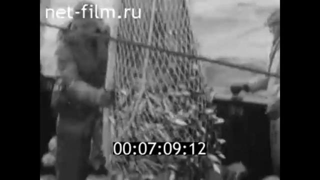 1973г. рыболовный траулер- рефрижератор 