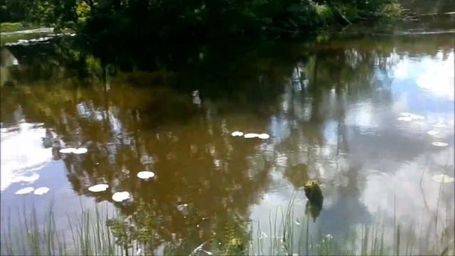 Фидер и пьянка не совместимы... смотреть онлайн