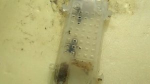 Как сделать отводок.   ?  Пчеловодство в Ленинградской области ?