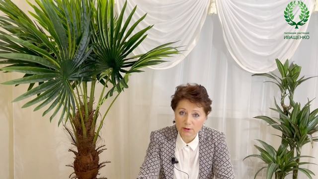 Применение Медного и Железного купоросов в саду. Важные моменты. Питомник ? и ? Е. Иващенко смотреть онлайн