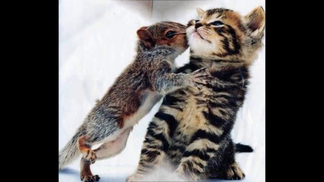 видео моей дочери, смотреть онлайн