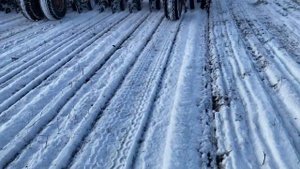 Ужас...Посев кориандра!!!