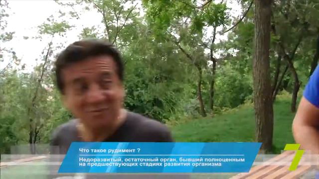 Экзамен в Утре на 7. Общие знания смотреть онлайн