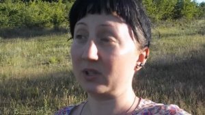 Чай из корней девясила и ферментация листьев фруктовых деревьев