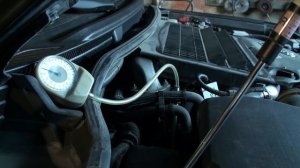 МАСЛОЖОРА БОЛЬШЕ НЕ БУДЕТ ЕСЛИ СДЕЛАТЬ ТАК