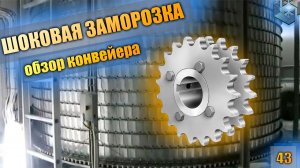 Спиральный конвейер. Шоковая заморозка. ШОК на 750 кг / час