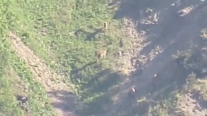 Природа Дагестана. Кавказские туры. Рутульский район, с. Цахур.