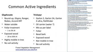Ecology and management of American beech (2015 Webinar)