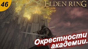 Окрестности академии.#46 ELDEN RING. Прохождение.