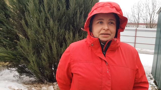 Откуда берутся бездомные животные