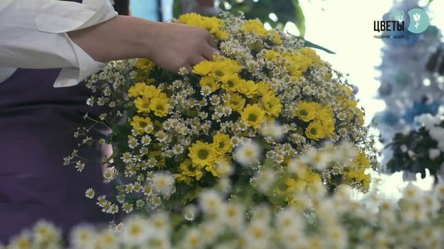 Букет из хризантемы и ромашек 51шт смотреть онлайн