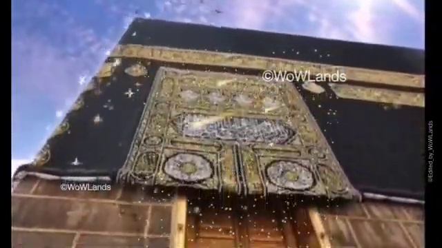 ZAKKI ZAKKI ZAKKI смотреть онлайн