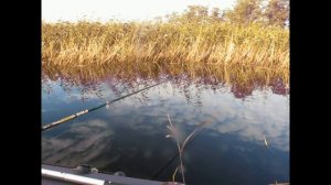 Рыбалка на Финском заливе. Ландышевка.Осень 2022г.