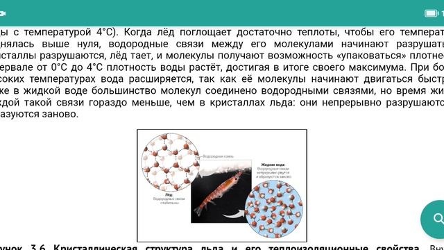 ЭМЕРДЖЕНТНЫЕ СВОЙСТВА ВОДЫ. КОГЕЗИЯ И АДГЕЗИЯ. ГИДРОФИЛЬНОСТЬ И ГИДРОФОБНОСТЬ. - ЕГЭ ПО БИОЛОГИИ