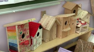 «Марий Эл ТВ»: 1 апреля - Международный день птиц