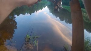 Рыбалка на сома. Ночная рыбалка.