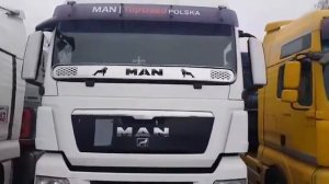 Накладка під лобове скло - балкон (захист нижньої частини лобового скла) для МАН ТГХ