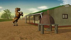 развлечения на ферме |  На ферме Зенона